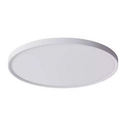 LED Ceiling Light